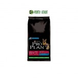 PURINA PROPLAN ADULT LARGE ATHLETIC KG 14+2,5
